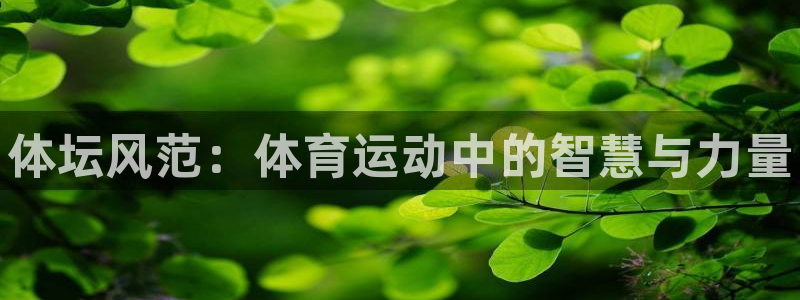 海南MK体育官网下载:体坛风范:体育运动中的智慧与力量